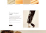 develop wordpress website with free on page SEO